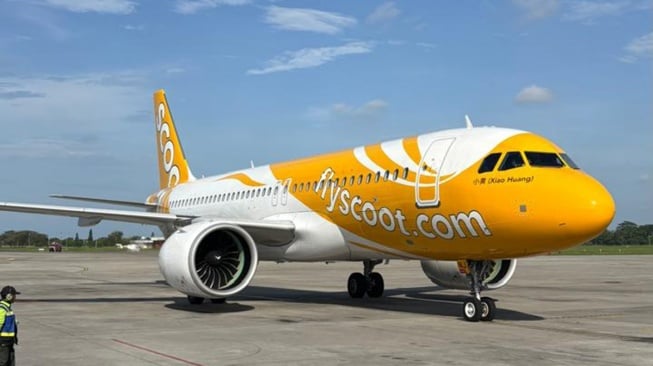 81466-scoot