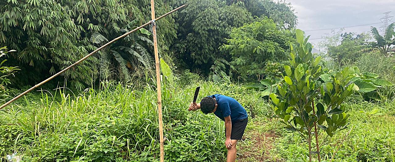 4dbbd91a-bab9-4395-ba6a-adf411101423